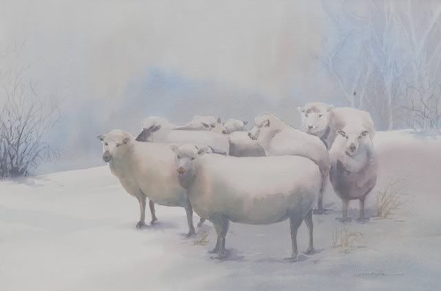 Winter_Watch_sheep_L.jpg