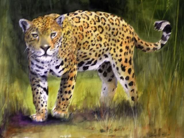 my_leopard_1_enh_030424.jpg
