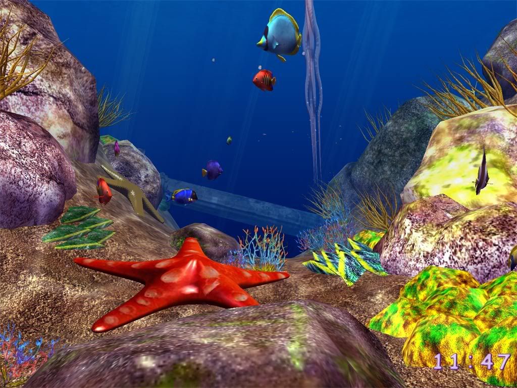 ocean-fish-01.jpg