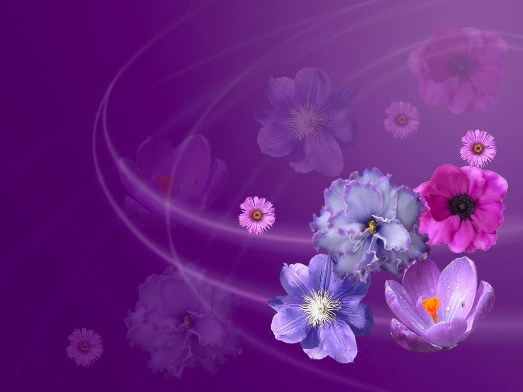 wallpaper1ic7.jpg