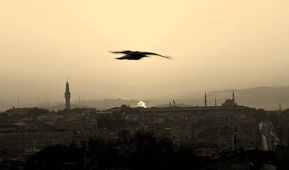 isTaNbUL14.jpg
