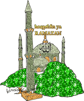 1131807857ramazan95qg9wd5fh4pn.gif