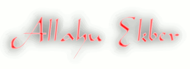 1189947024zd2na8gy9gn0.gif