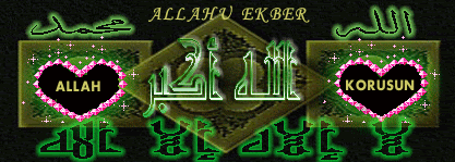 ekberlp4kq3qi5.gif