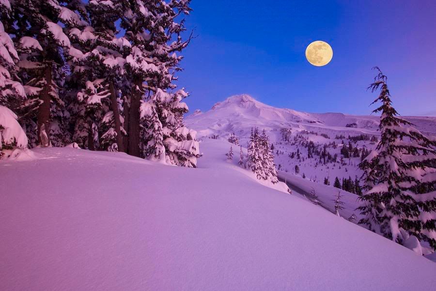 moonovermounthoodatdawnla8.jpg