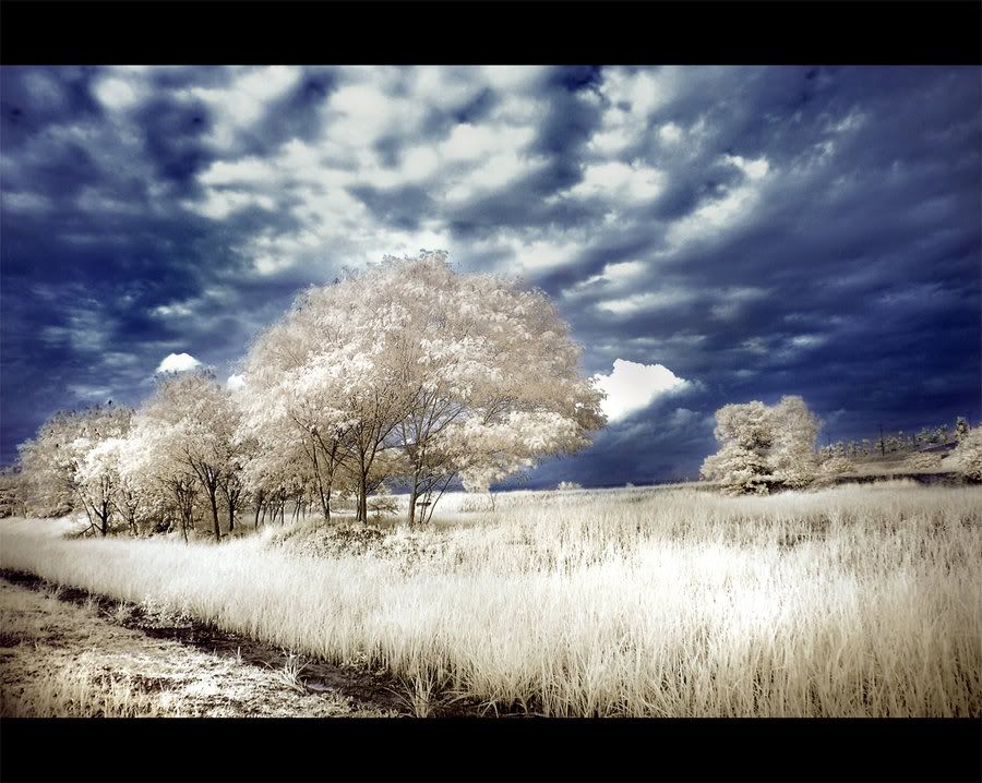 Dramatic_Infrared_3_by_Pandowo014.jpg