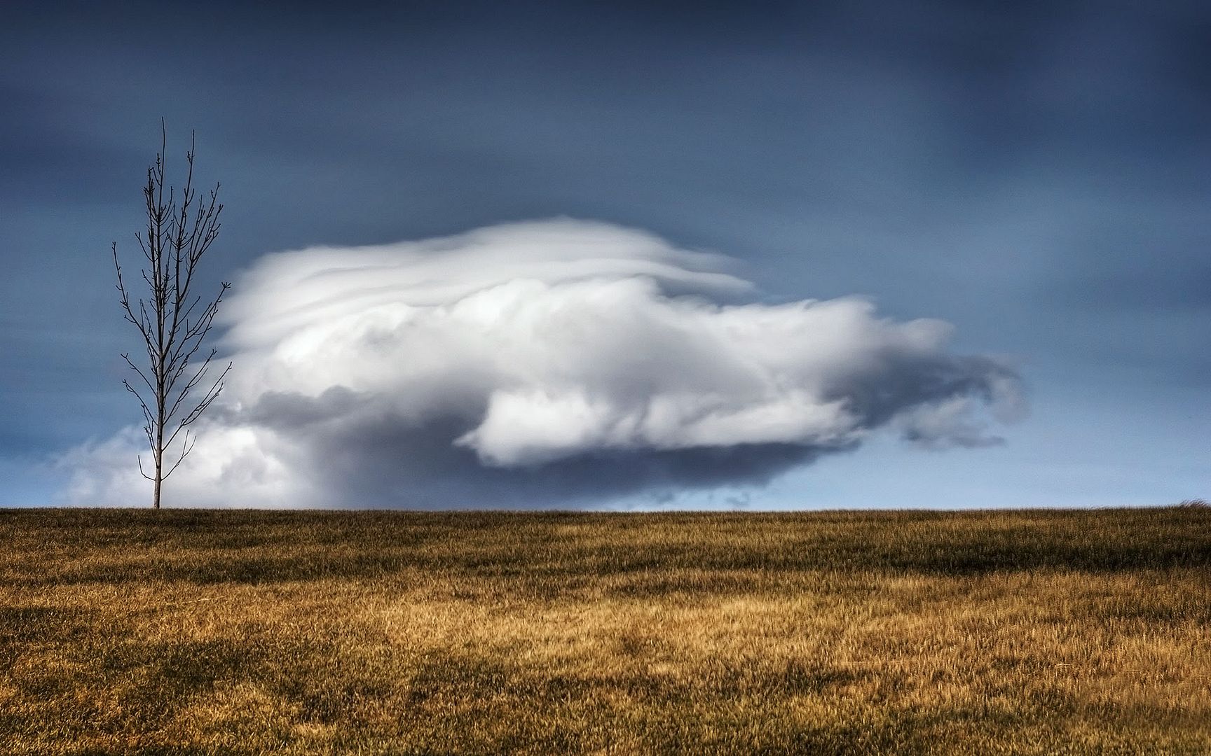 HDR_08.jpg