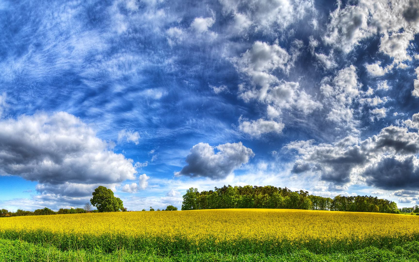 HDR_19.jpg