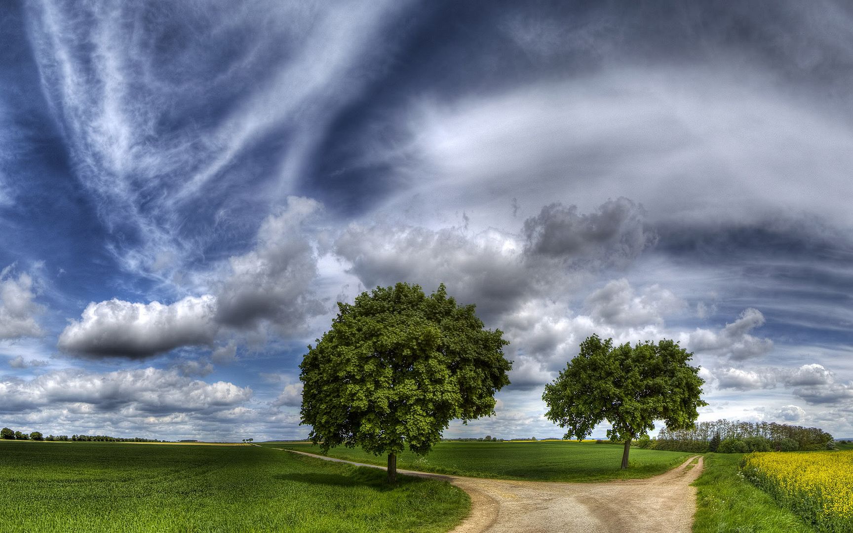 HDR_31.jpg