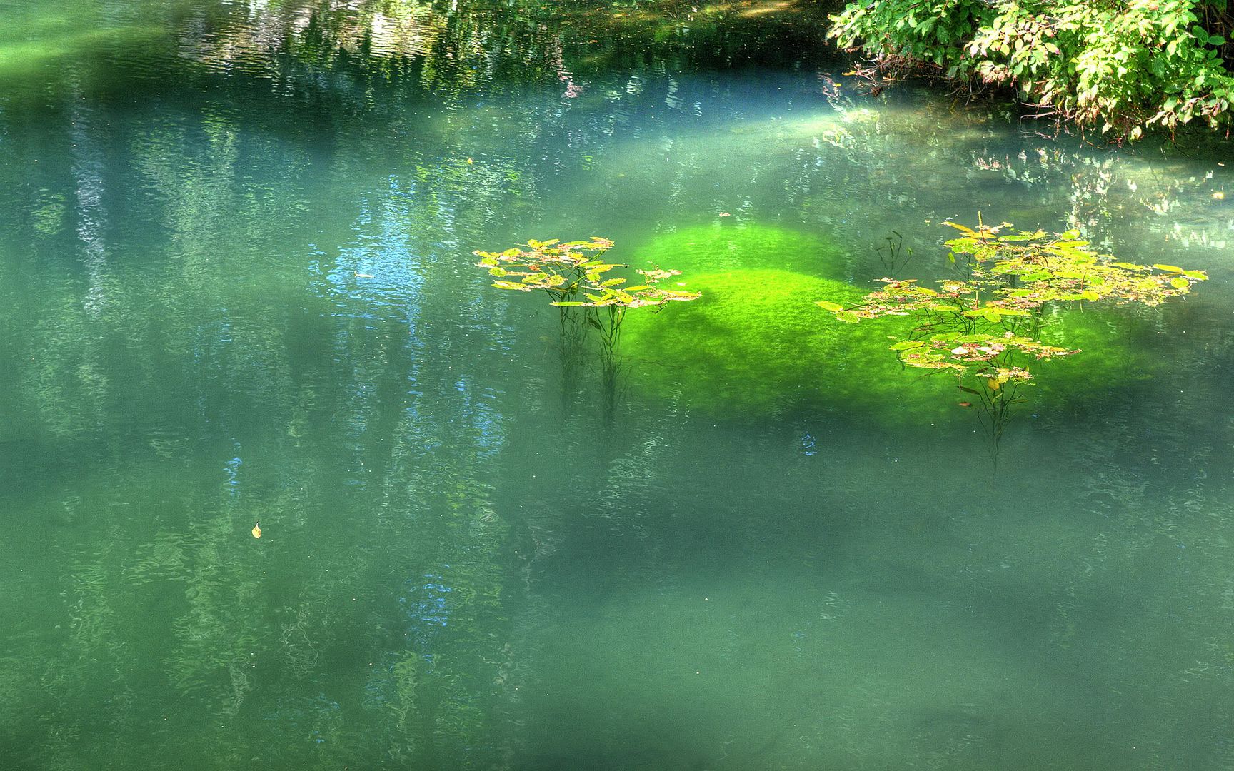 HDR_33.jpg