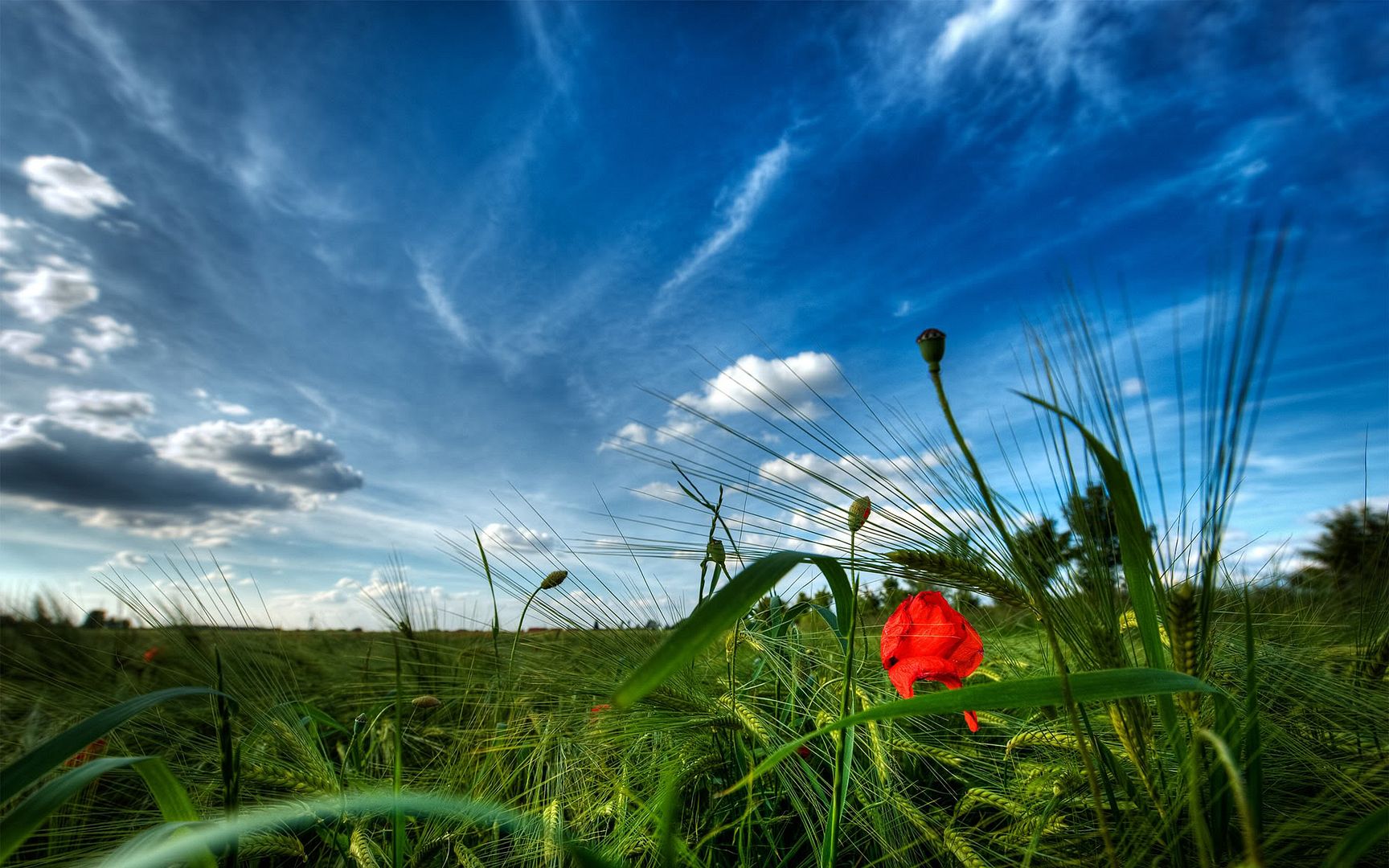 HDR_35.jpg