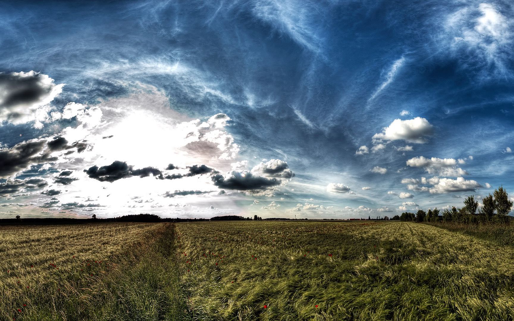 HDR_41.jpg