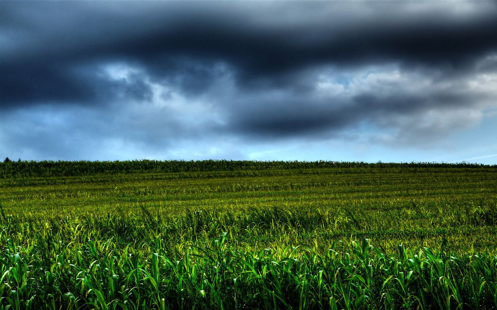 HDR_47.jpg