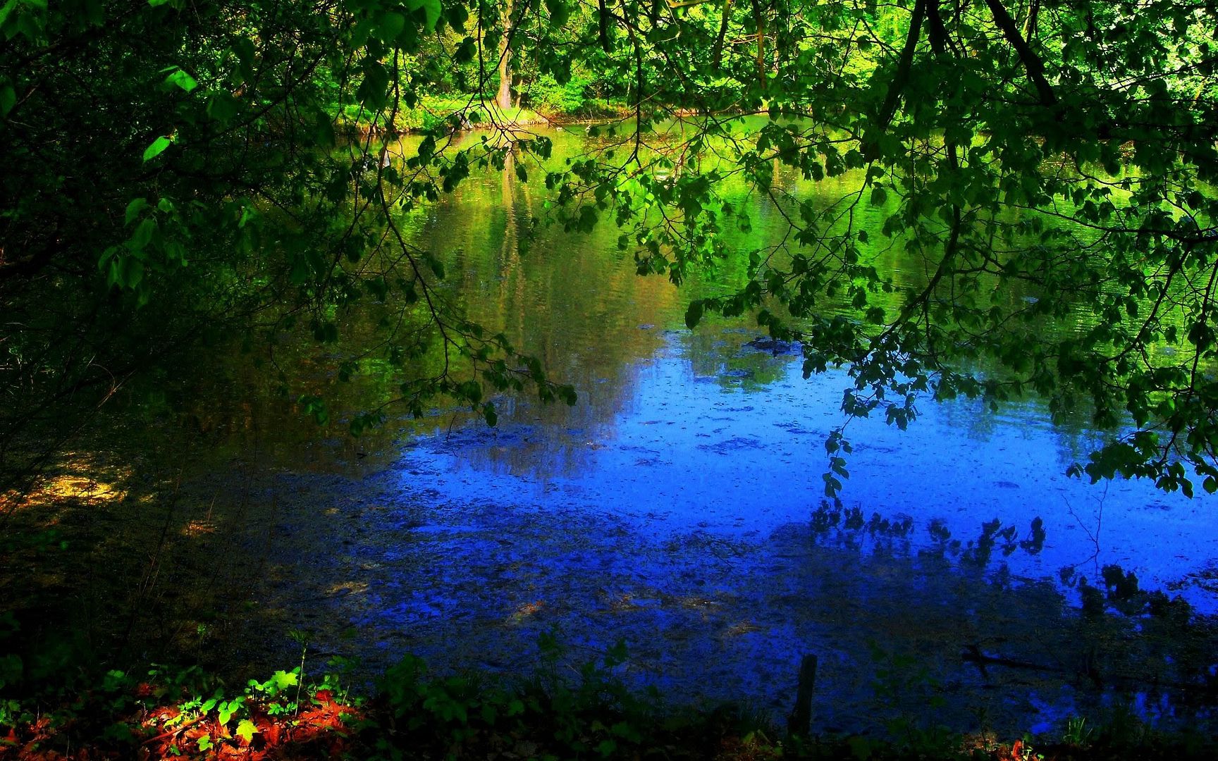 HDR_54.jpg