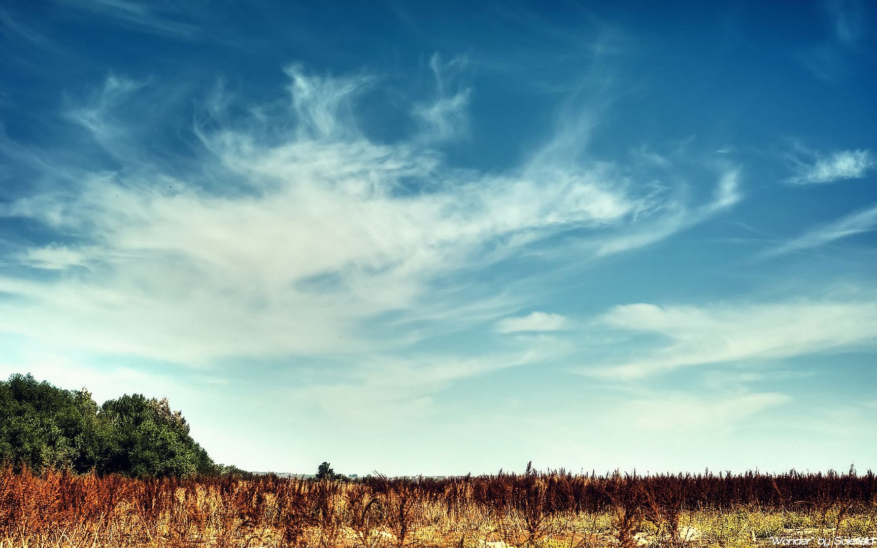 HDR_67.jpg