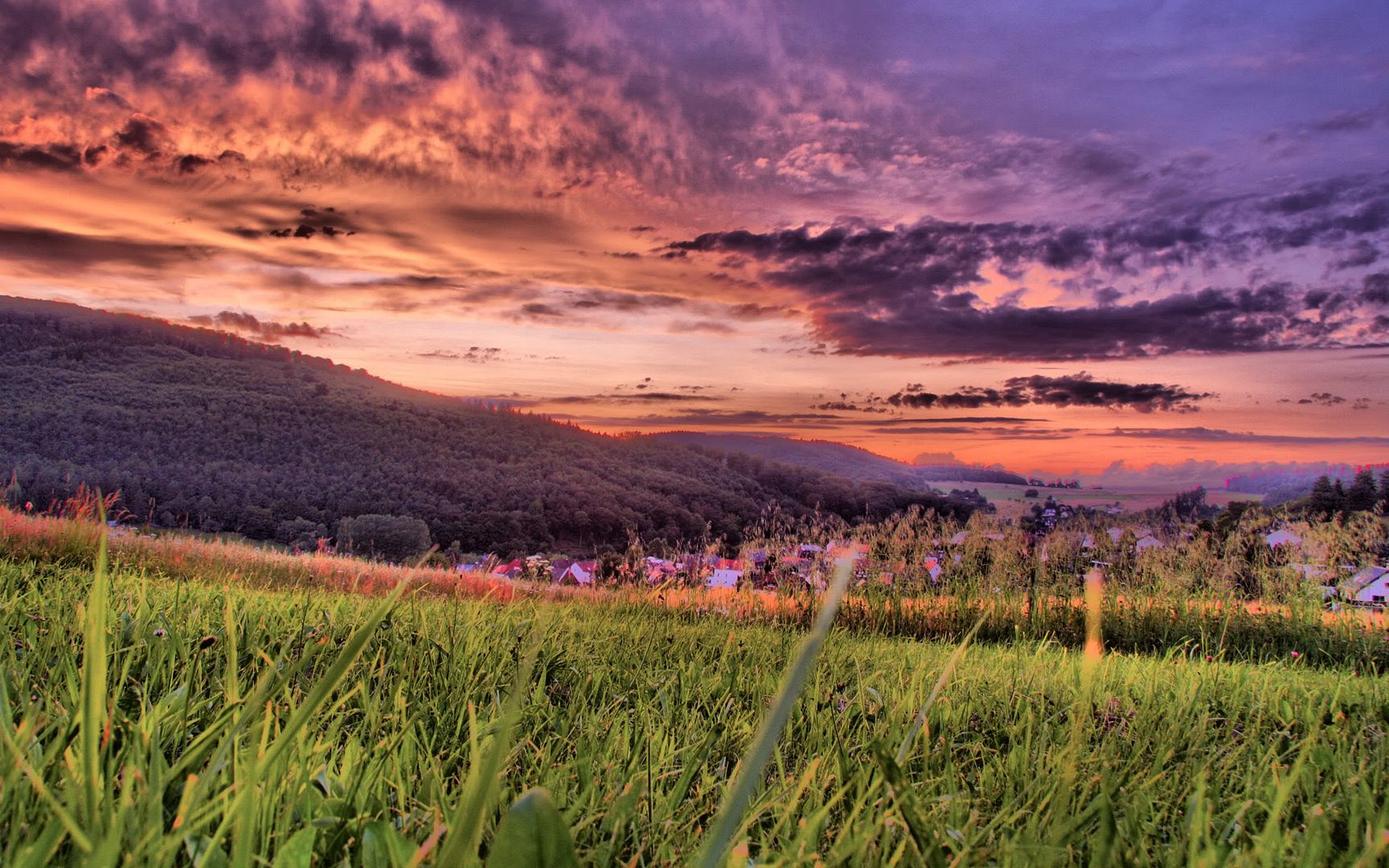 HDR_69.jpg