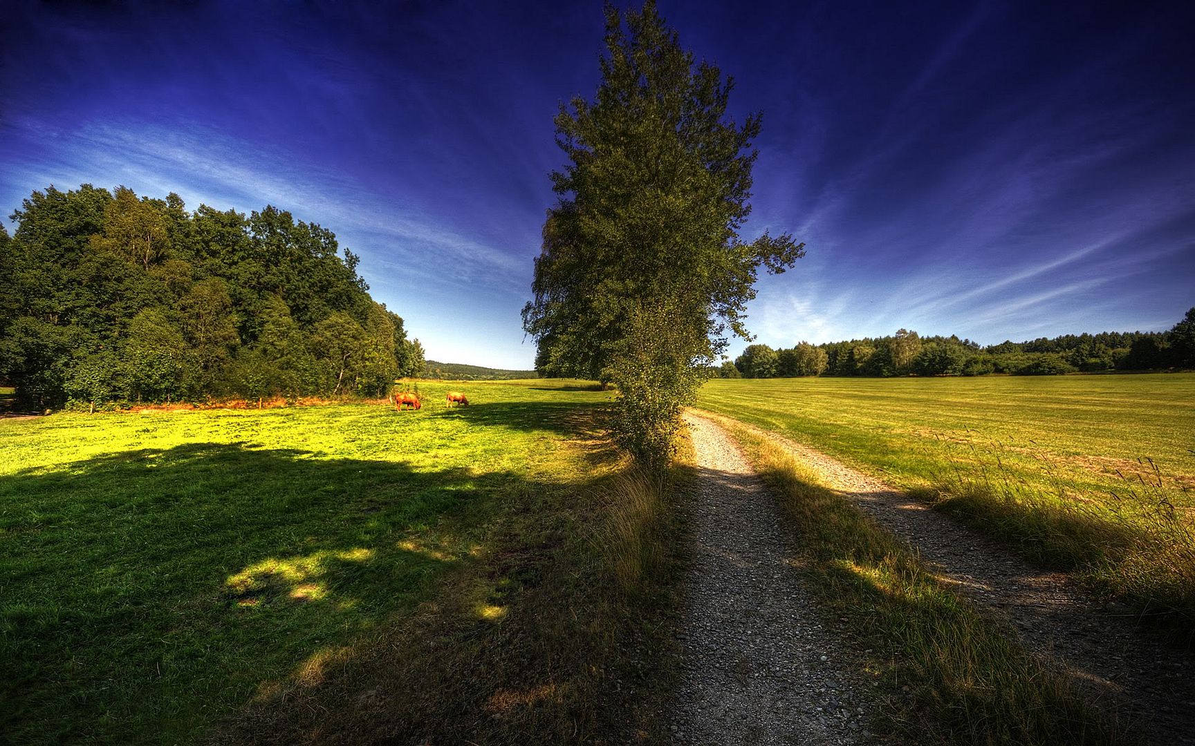 HDR_71.jpg