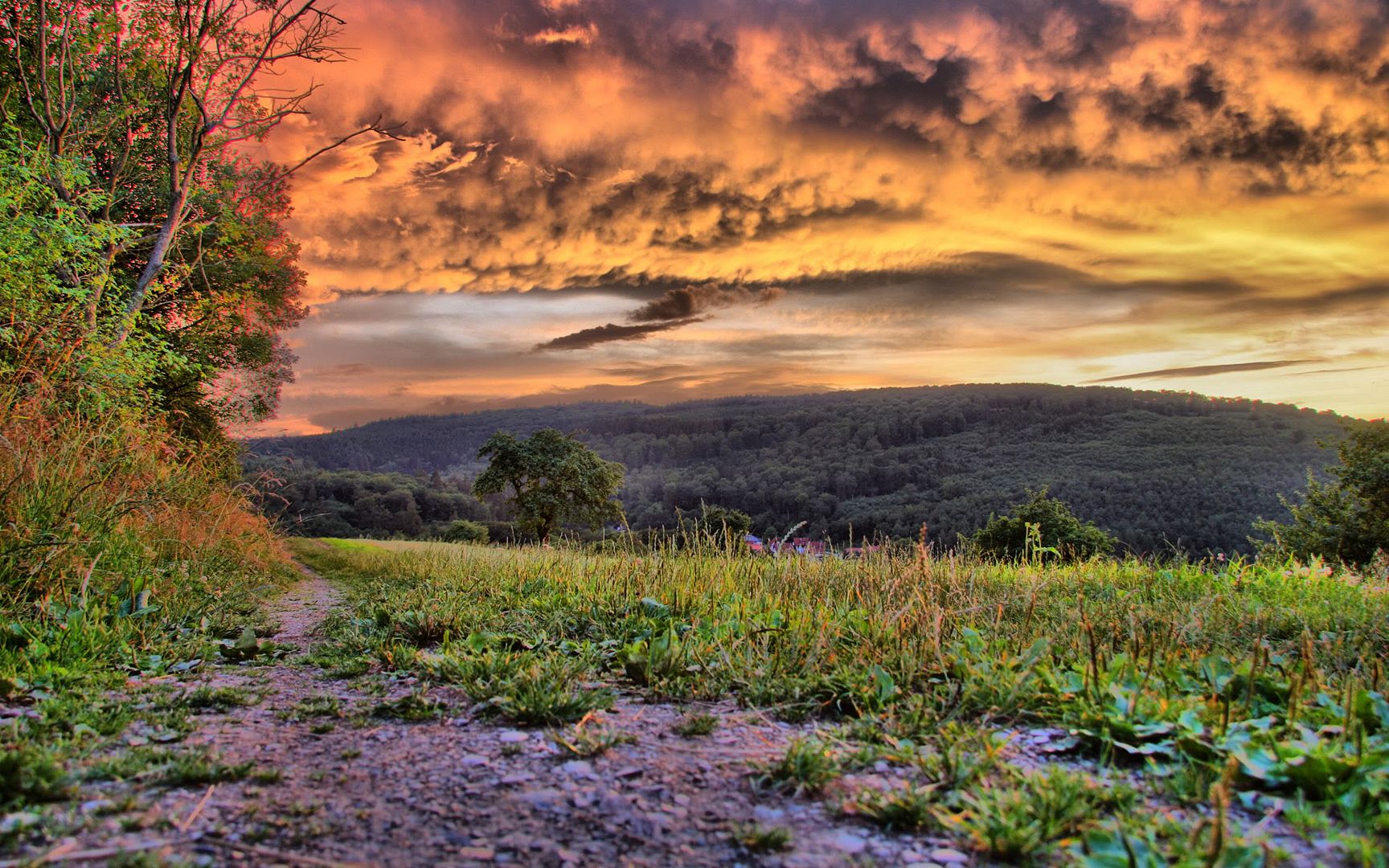 HDR_73.jpg