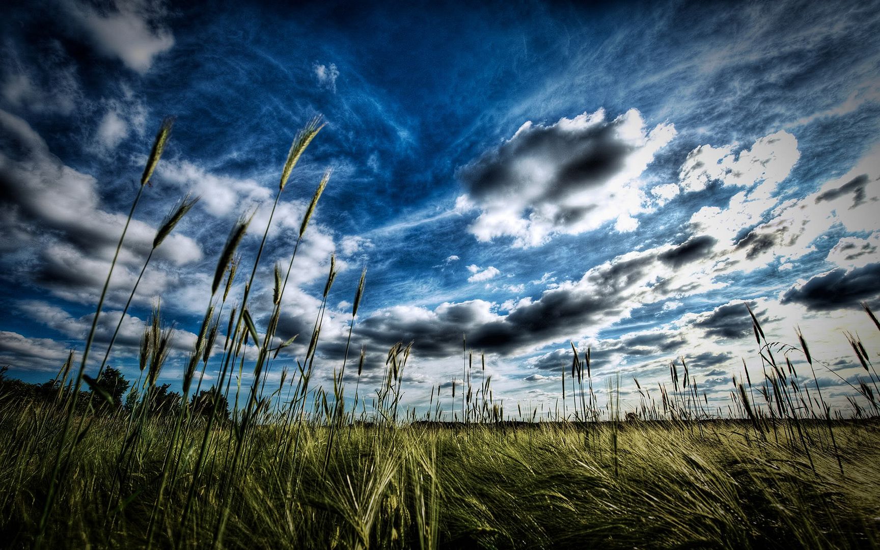 HDR_80.jpg