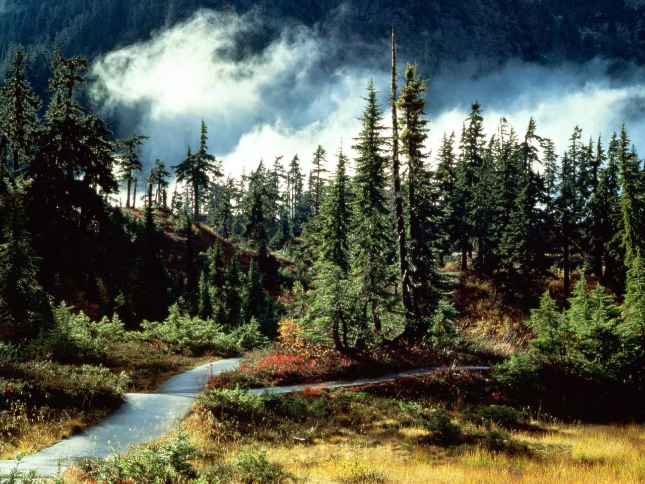 Nature_s_Majesty.jpg