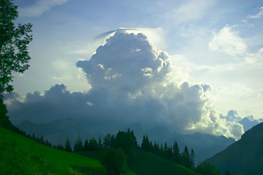 Photo___Force_of_Nature_by_tigaer.jpg