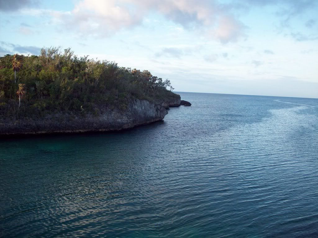 f_1000466m_80d006a.jpg