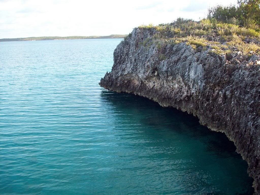 f_1000471m_be6c7da.jpg