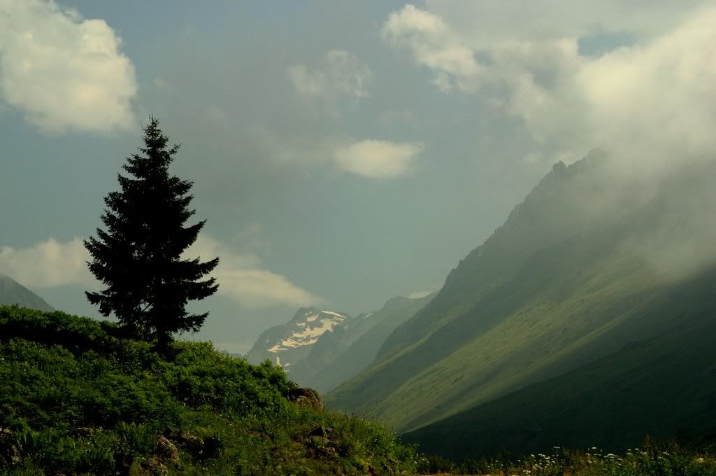 foto-1-44.jpg