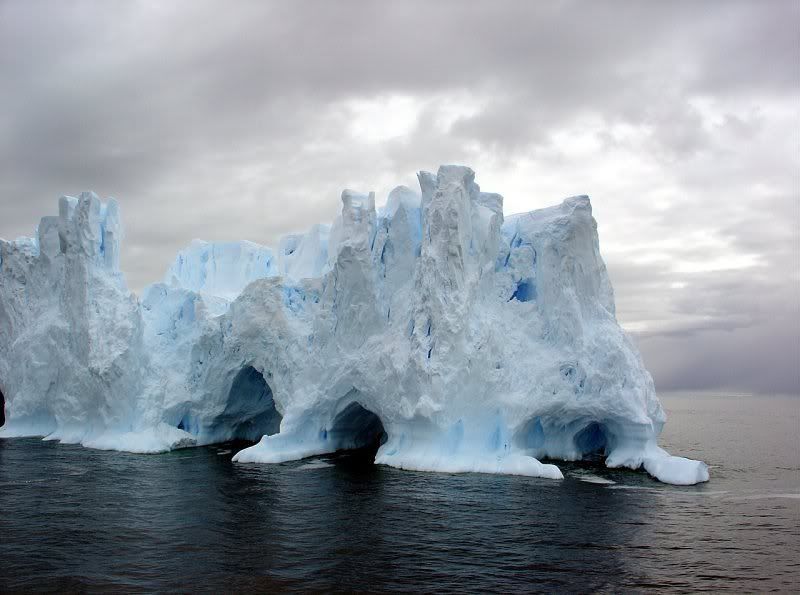iceberg.jpg