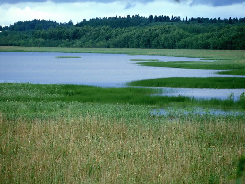 northeuro19.jpg