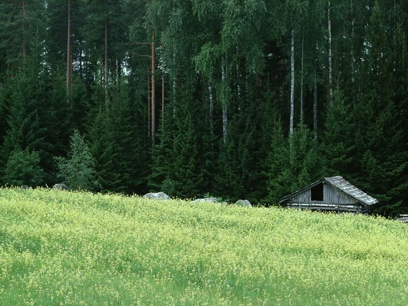 northeuro7.jpg