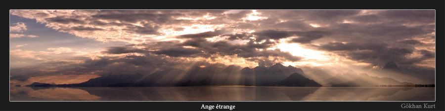 78c6de37be7c5fd2ca019750be767f60.jpg