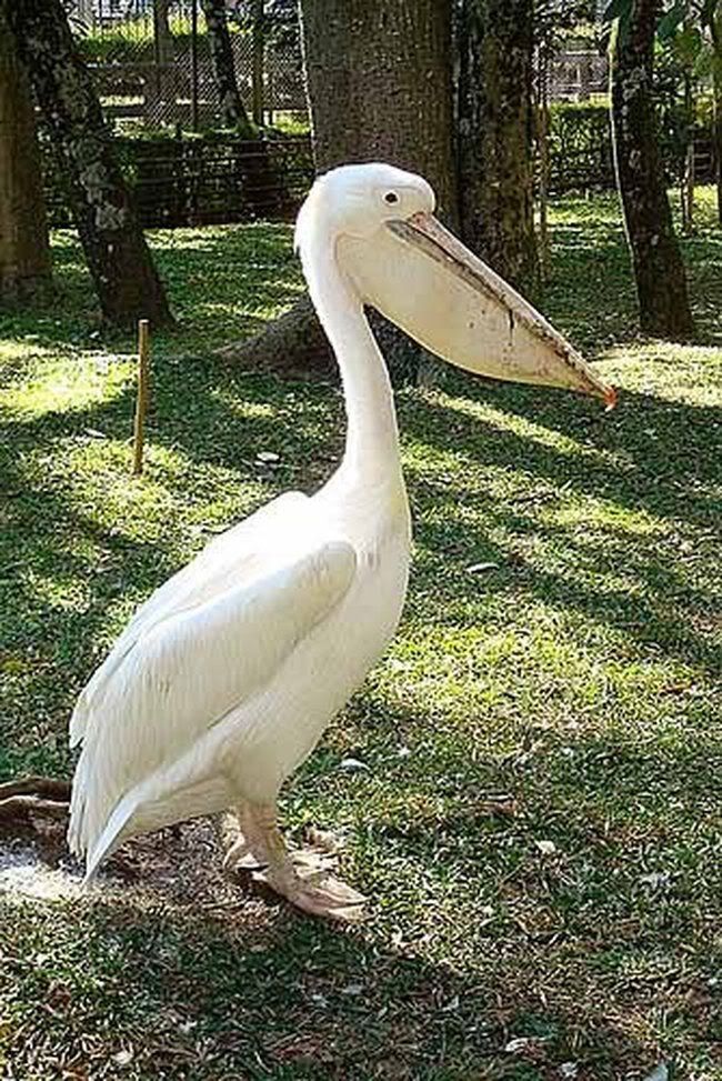 0305200879754_13.jpg