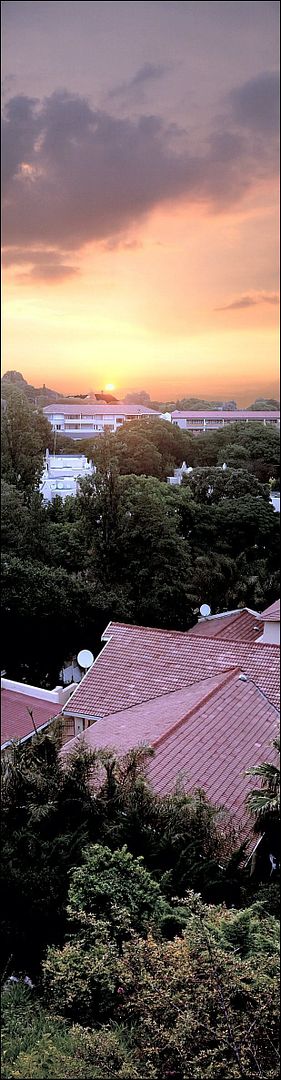 207322kpsoqp8.jpg