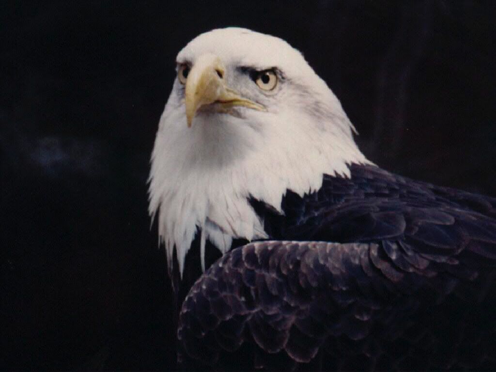 23_43_5457676_3.jpg