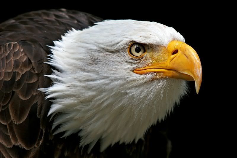 23_43_5457676_5.jpg