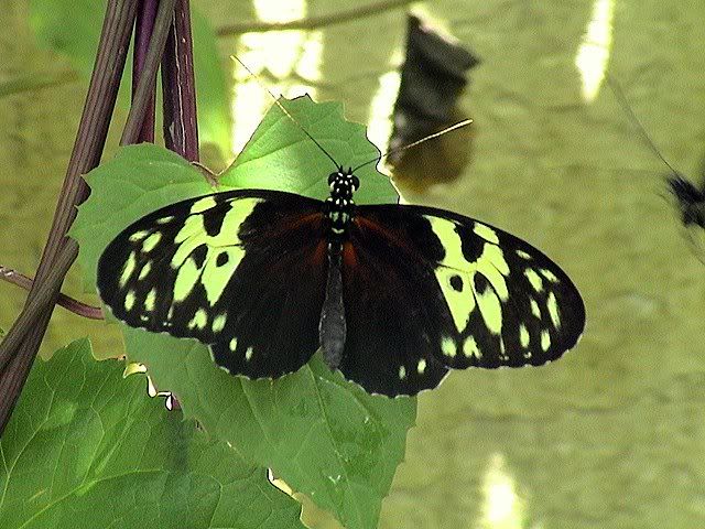 300c72aa21b02b5fe8b82824dbb4b21e.jpg