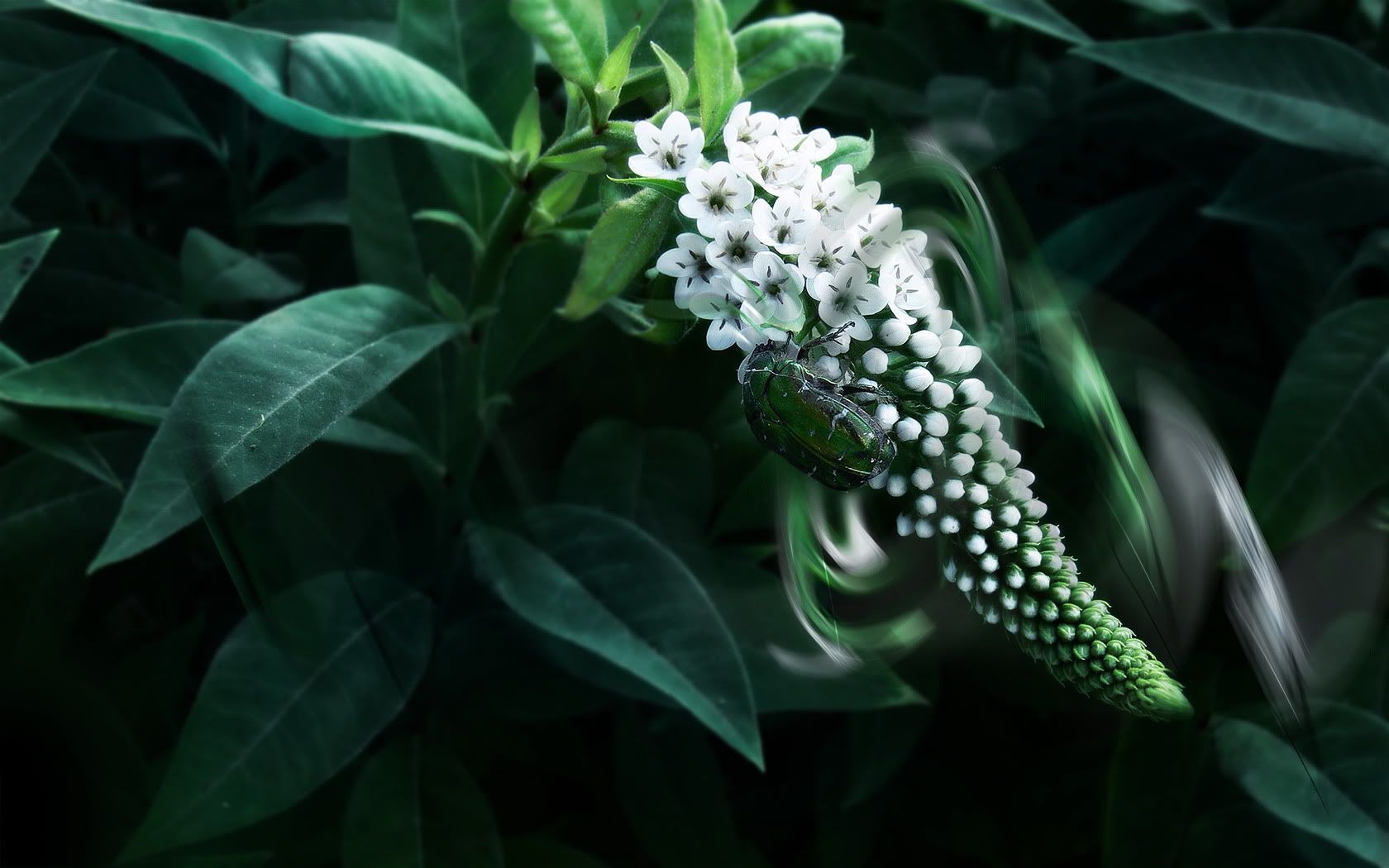 36529d7f.jpg