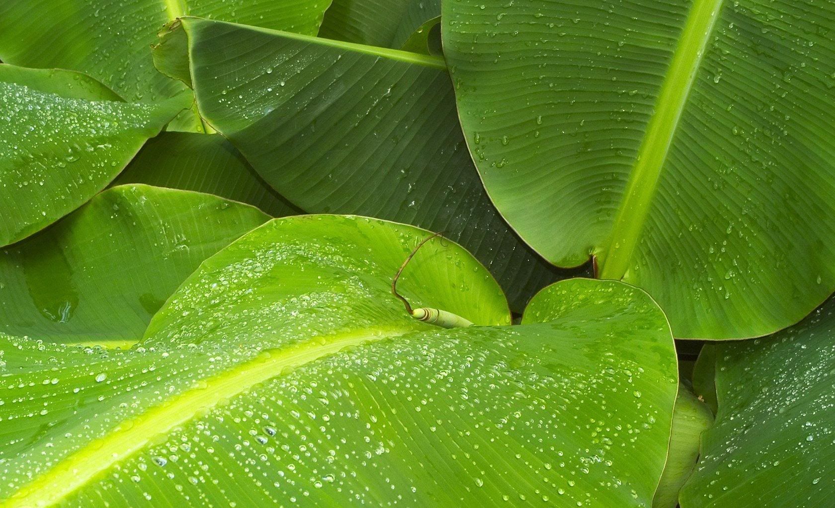 4a2f04fd.jpg