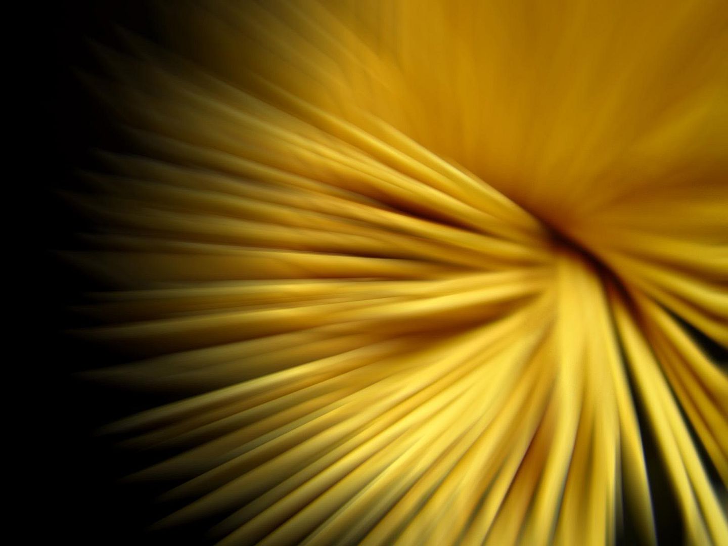 6594f22f.jpg