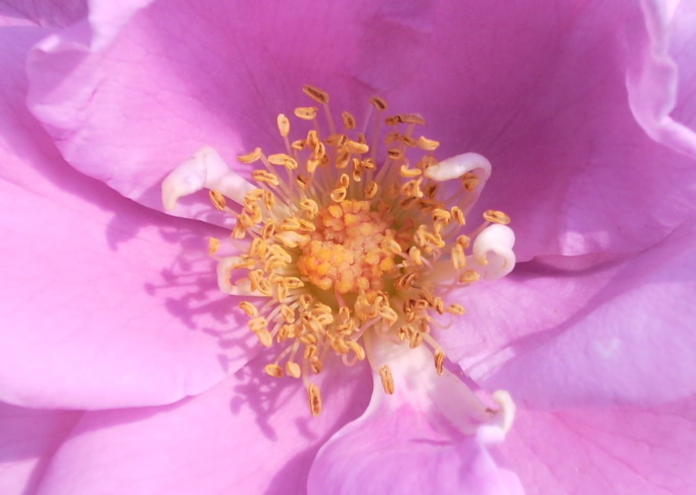 924465_57370848.jpg