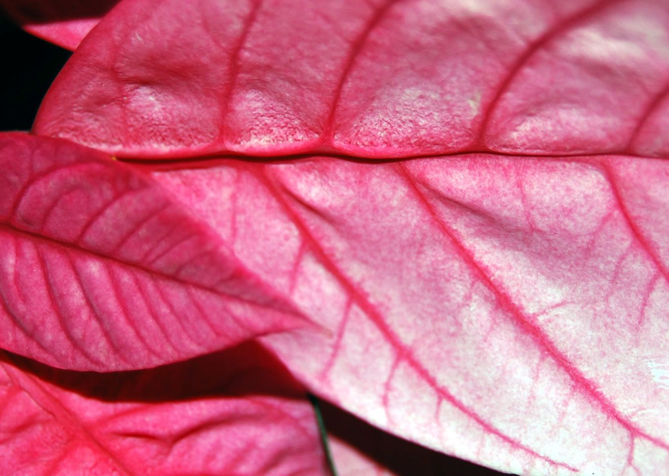 924504_71539871.jpg