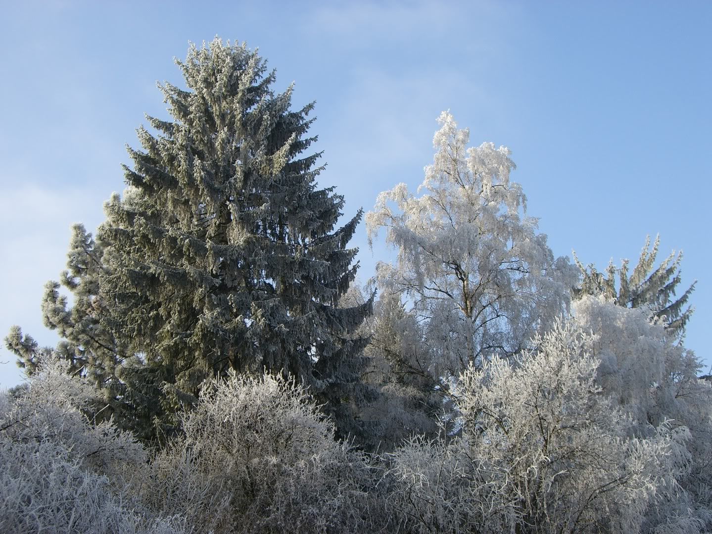 924578_43259567.jpg