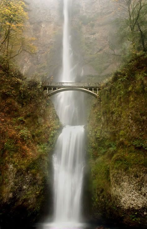FoggyFalls.jpg