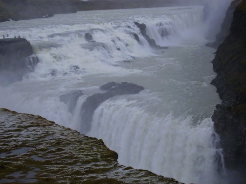 IcelandParis071.jpg