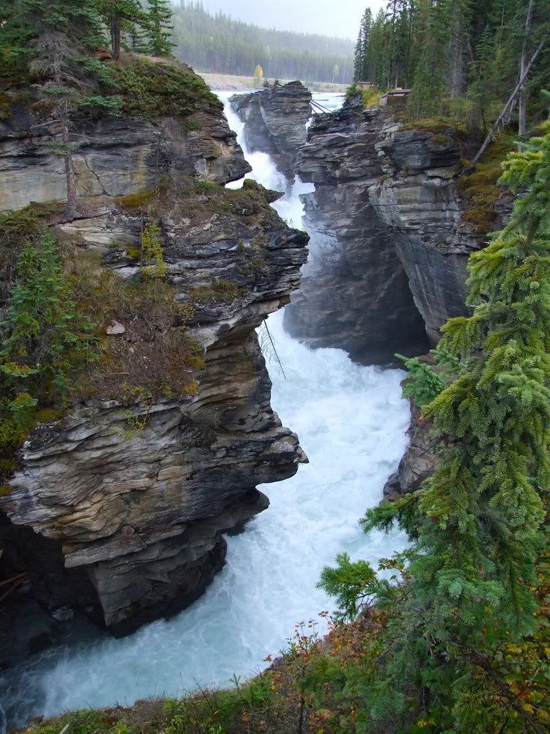 Image100.jpg