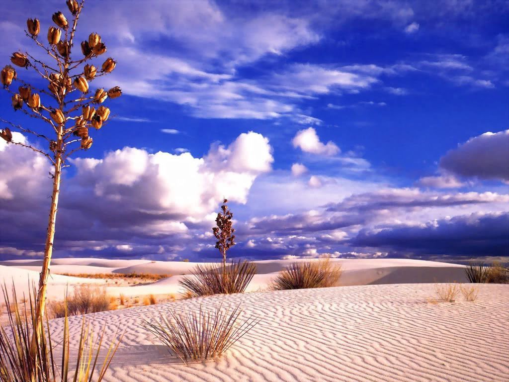Nature_Clouds__001040_1.jpg