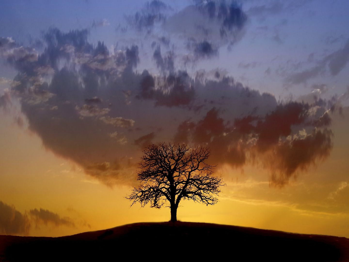 Nature_Clouds__002560_.jpg