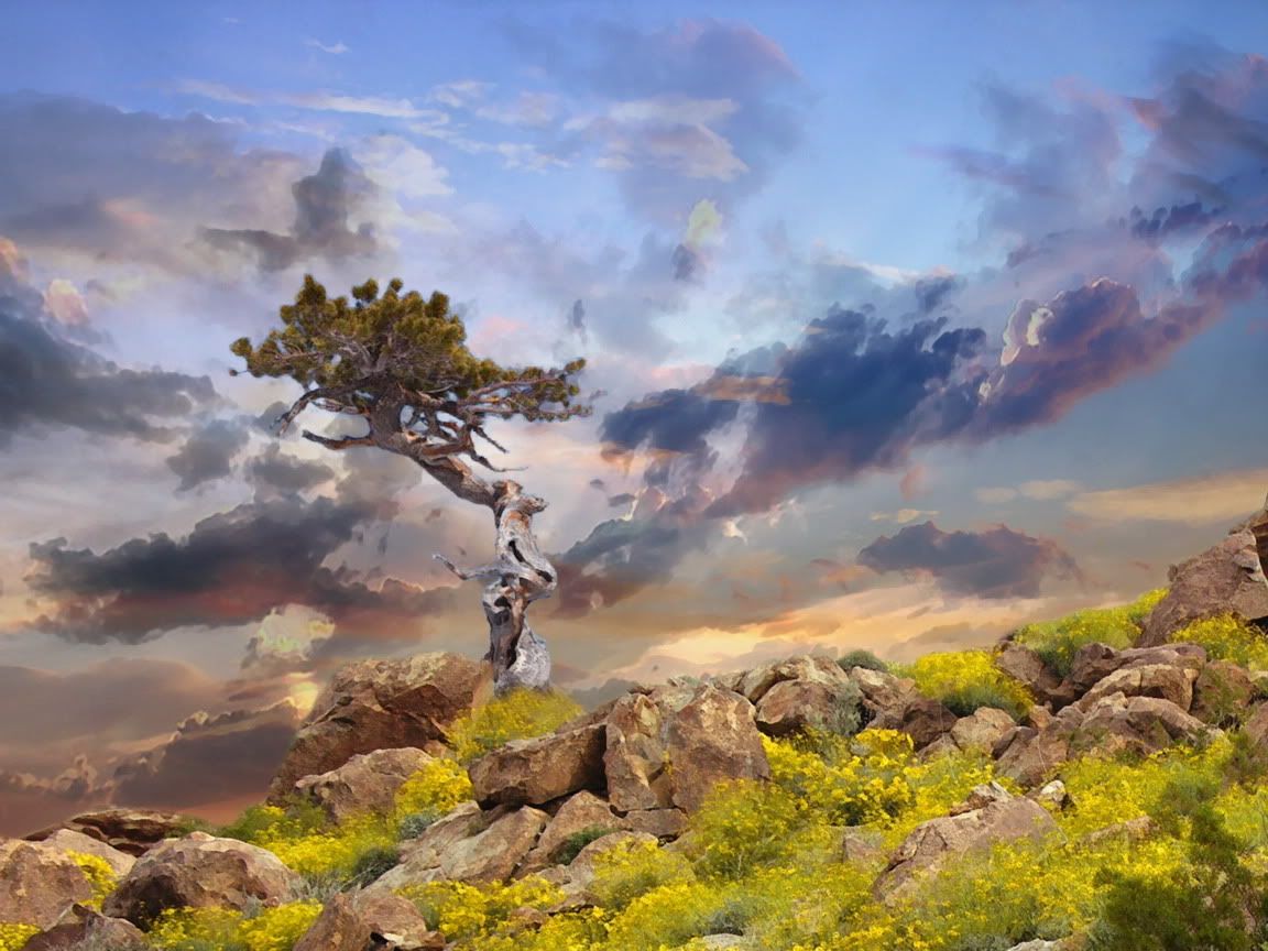 Nature_Clouds__002564_.jpg
