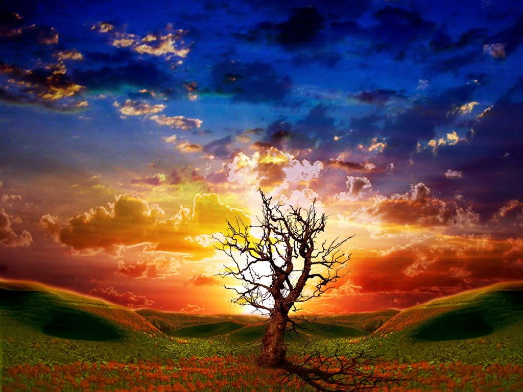 Nature_Clouds__002606_.jpg